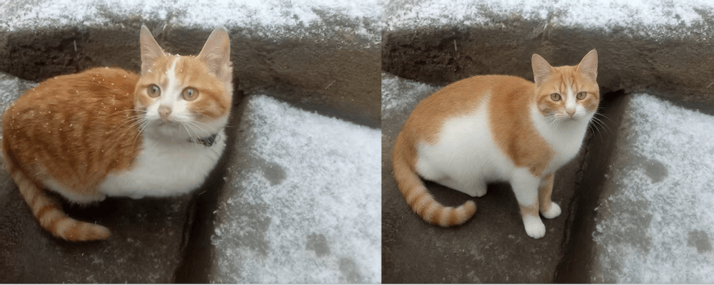 阶跃星辰新图像编辑模型来了！2分钱一张、0.7秒出图，实测海报风格迁移出彩