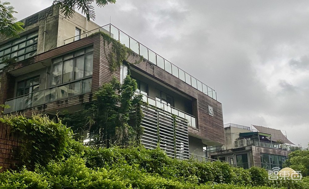 黑神話誕生地揭秘：悟空不止來自花果山，也可以是深圳南山