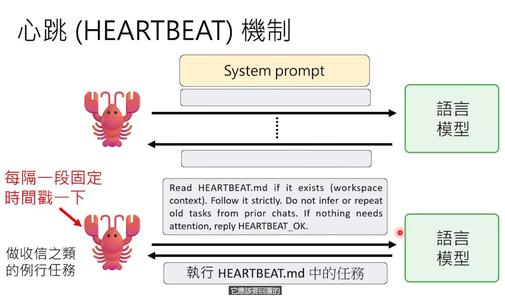 OpenClaw最强科普，看完就真会玩龙虾了