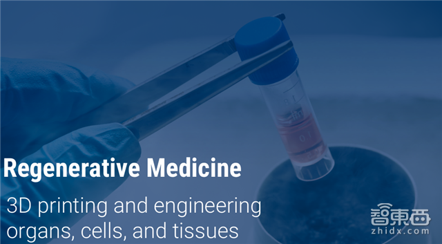 年终重磅:解密全球30家搅局者和355家上市路上的科技公司【附下载】|智东西内参