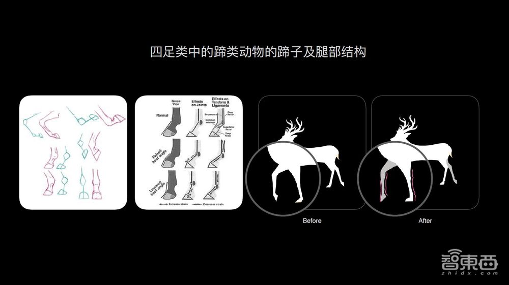走进华为北研所:EMUI 11背后的“人因研究”到底是什么?