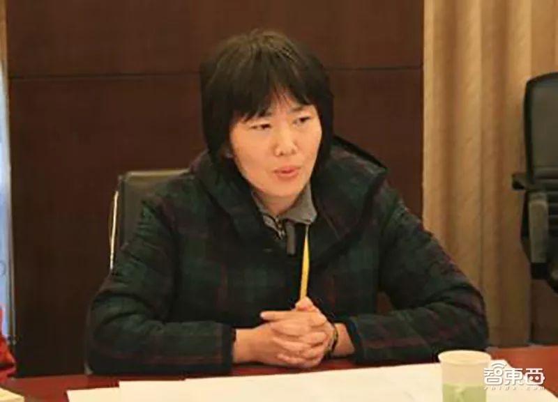 特稿:清华芯片往事