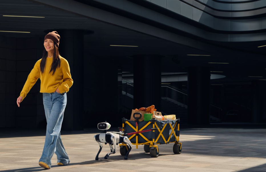 免遥控，陪你出门徒步、买菜、逛街的机器狗出现了！9988元抢爆