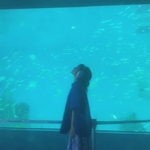 刘 俐杉