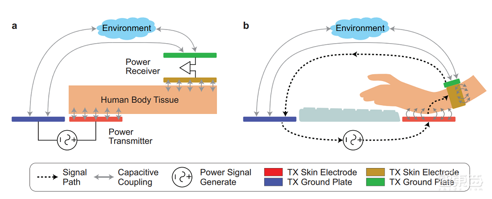 不摘智能手表就能充电！这项研究让人体变电线