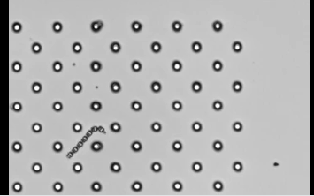 比头发丝还细的机器人！可自主导航、避障、适应环境