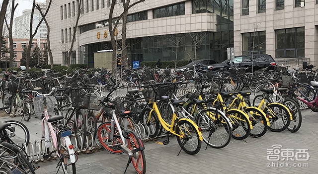 共享单车体验为王 ofo与摩拜到底哪家强?