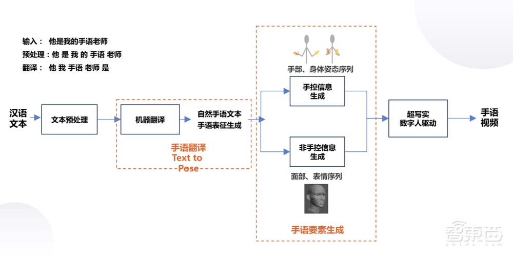 她们的冬奥会解说,暖了千万人的心