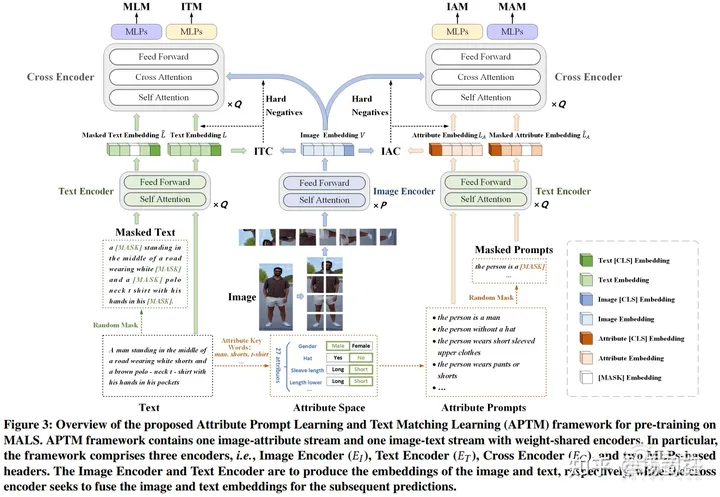 西安交大在读博士杨蜀钰:面向行人重识别的多属性和语言大模型研究|AI新青年讲座