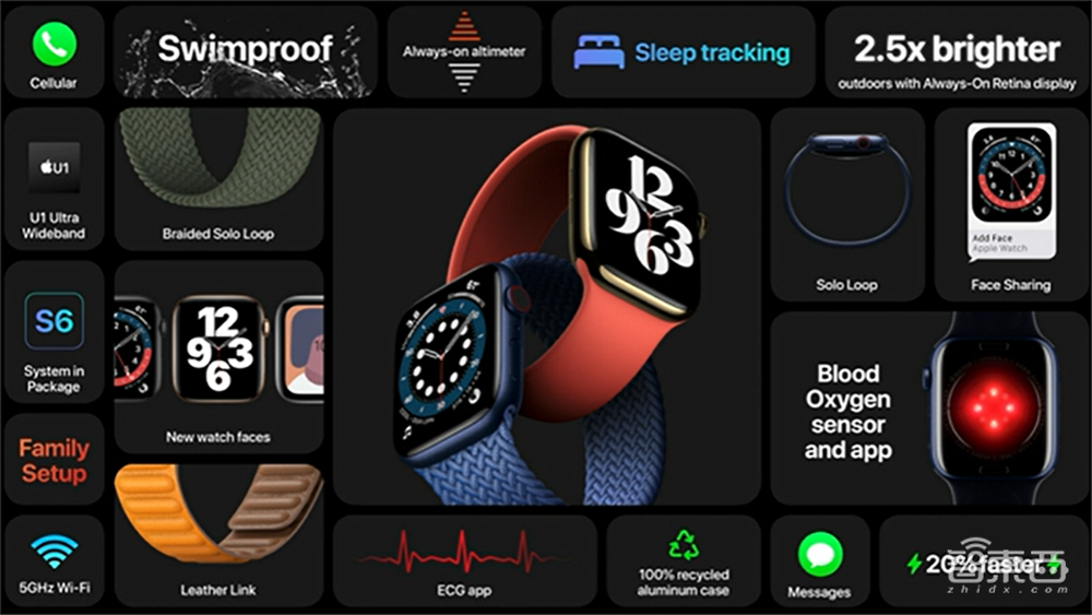 苹果最强芯A14牙膏挤爆!手表首发“小杯”SE版,iPhone 12下月见