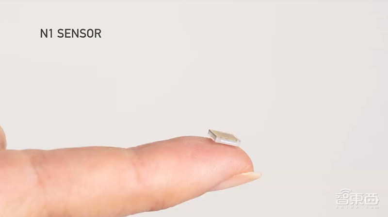 明年开始人体实验!马斯克脑机接口重大突破,已能让猴子用脑控制电脑