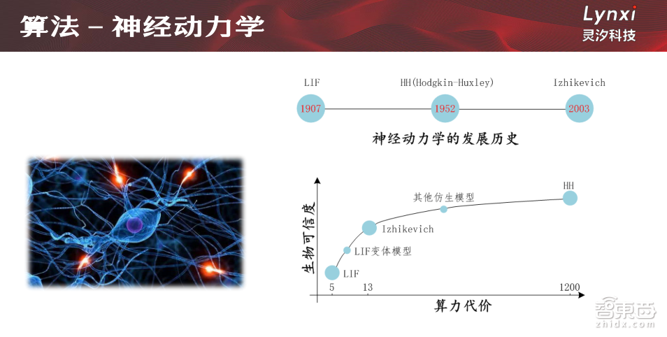 【PPT下载】5大维度对比主流芯片架构，类脑芯片未来可期