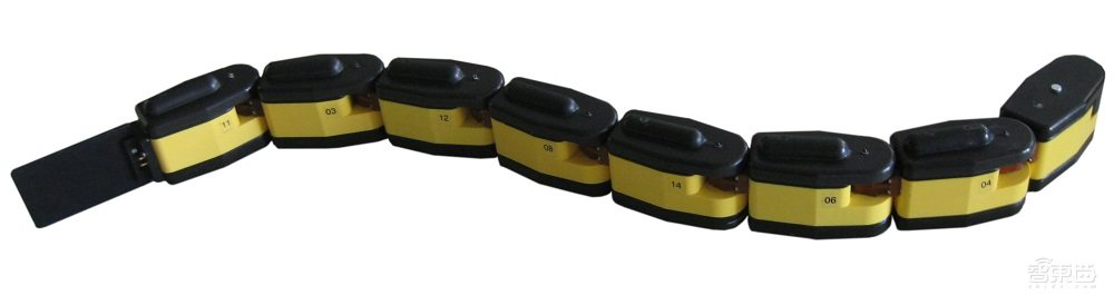 鳗鱼机器人登Science子刊封面，展示超强抗控制系统故障能力