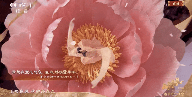 在AI和机器人里找节目:马年春晚背后的科技大战揭秘
