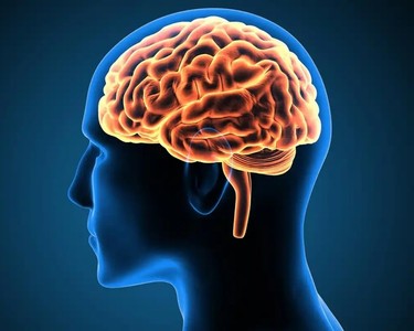 AI算力创企拿下34亿种子轮融资!创立两个月估值318亿,贝索斯投了