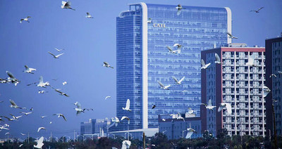 宁德时代带起锂电上市狂潮！19家企业冲刺IPO，有人暴涨有人愁