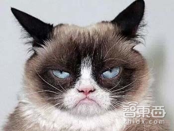 专栏 | 机器人研究还有哪些怪要打?来举例说明