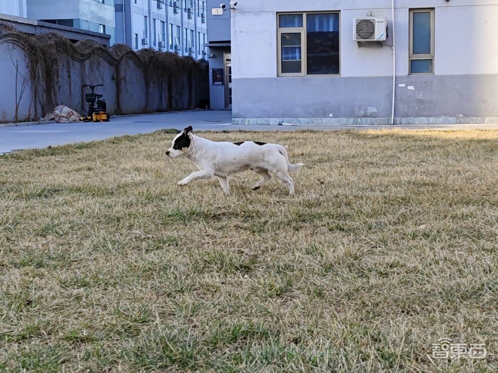 iQOO 9 Pro深度体验:E5屏到底有多“通透”?首发三星GN5死磕对焦