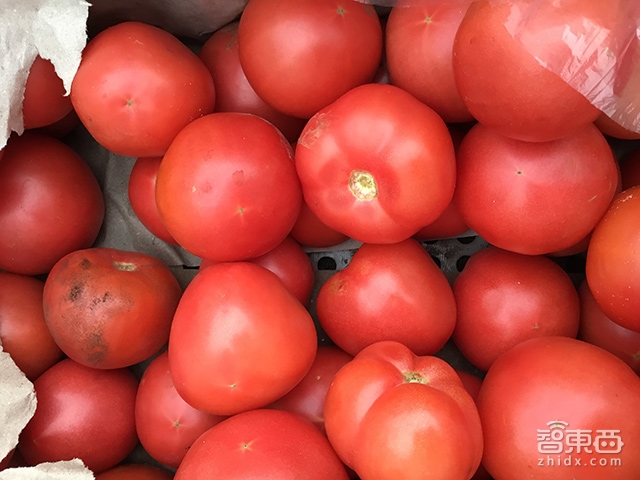 iPad Pro全球首发体验:不只是放大屏幕那么简单