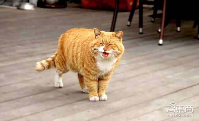 对话格灵深瞳赵勇:从CTO到操盘全局 用百米辨人相机挑战安防大鳄