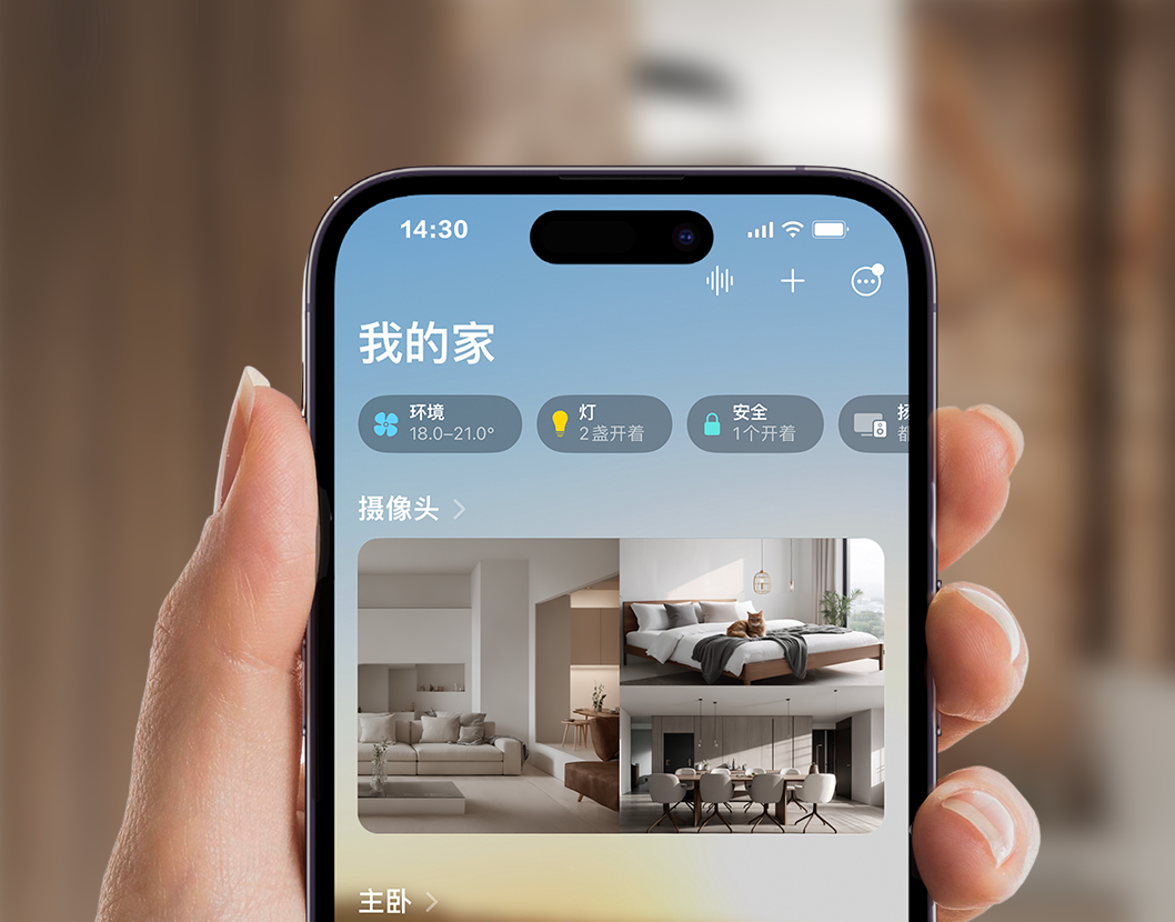 小米投的深圳独角兽，要IPO了！