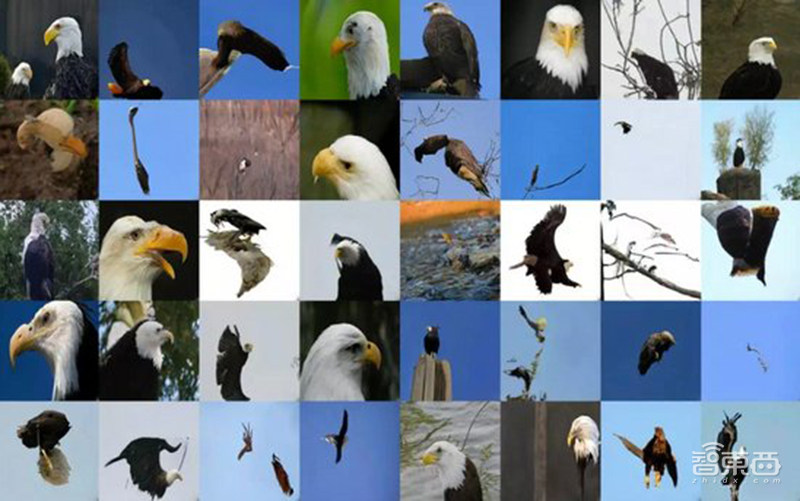 智东西晚报:新AI算法生成照片以假乱真 首批科创板上市企业将出炉