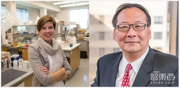 智东西晚报:高通新技术电动汽车行驶中可充电 共享洗衣机也来了