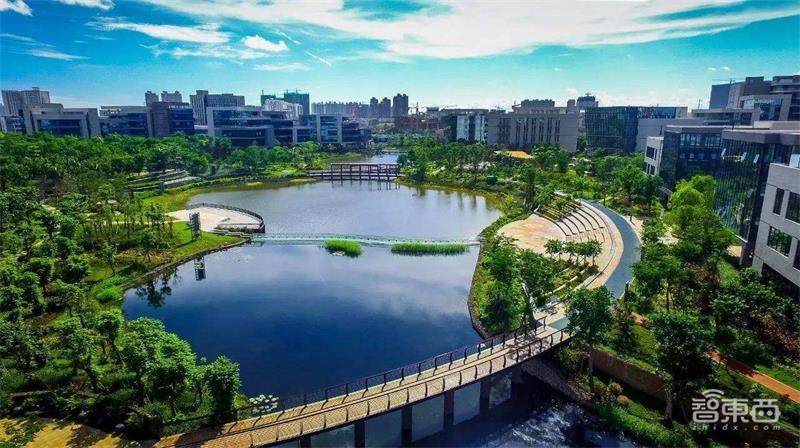 马云马化腾的海南岛往事