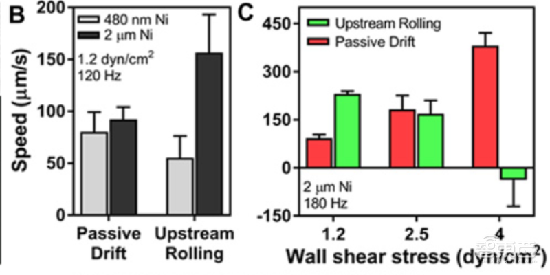 这款抗癌机器人能在血管里跑酷！直径小至3微米，每秒移动600微米