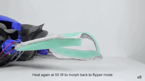 两栖机器龟登上Nature封面!结合海龟、陆龟和机器人的各种优势