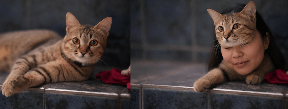 阶跃星辰新图像编辑模型来了！2分钱一张、0.7秒出图，实测海报风格迁移出彩