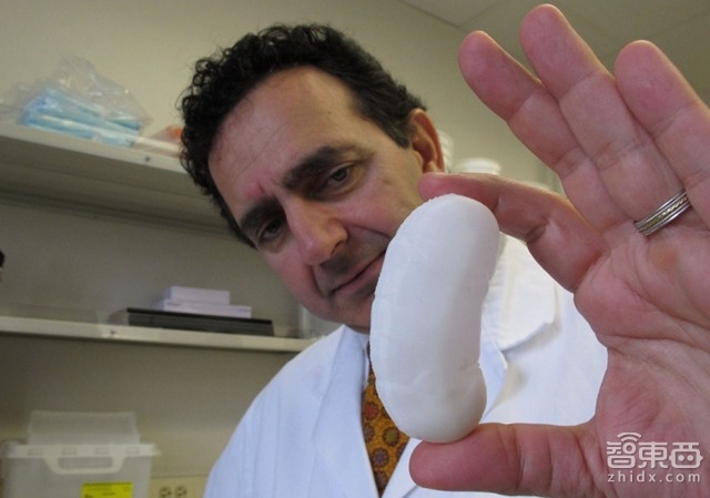 智东西晚报:苹果至少在这5方面“抄袭”了谷歌