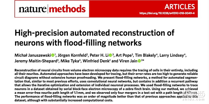 谷歌AI自动重构3D大脑 7天完成人类10万小时标注任务