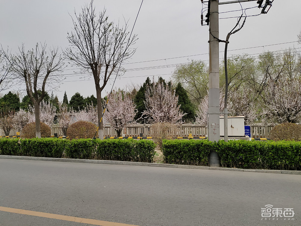 iQOO Z3体验:性能调教需完善,OriginOS、55W快充跟上大部队