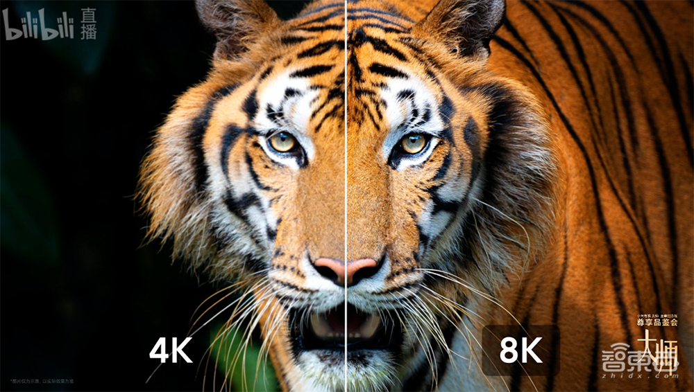 8K+5G到底有多香?小米电视大师82”及至尊纪念版体验