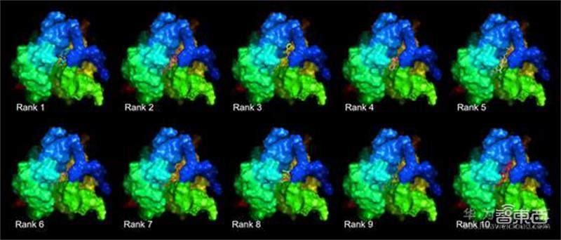 全球新冠肺炎确诊过百万,华为云启动全球抗疫行动