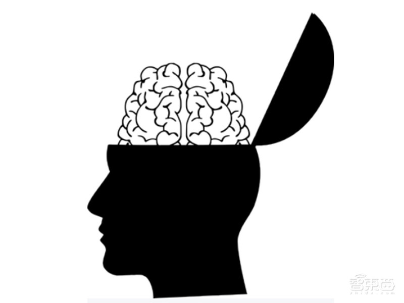 MIT+IBM同时利用AI探索神经科学,让脑科学研究如虎添翼