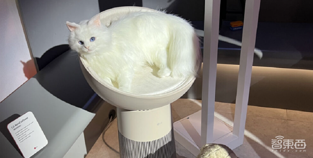 CES十大最酷黑科技:机器人、家电整活脑洞大开,有亿点点抽象