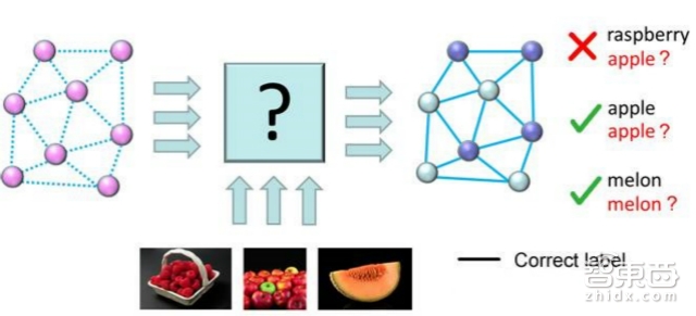 量子告诉你 人工智能何时超越人类?
