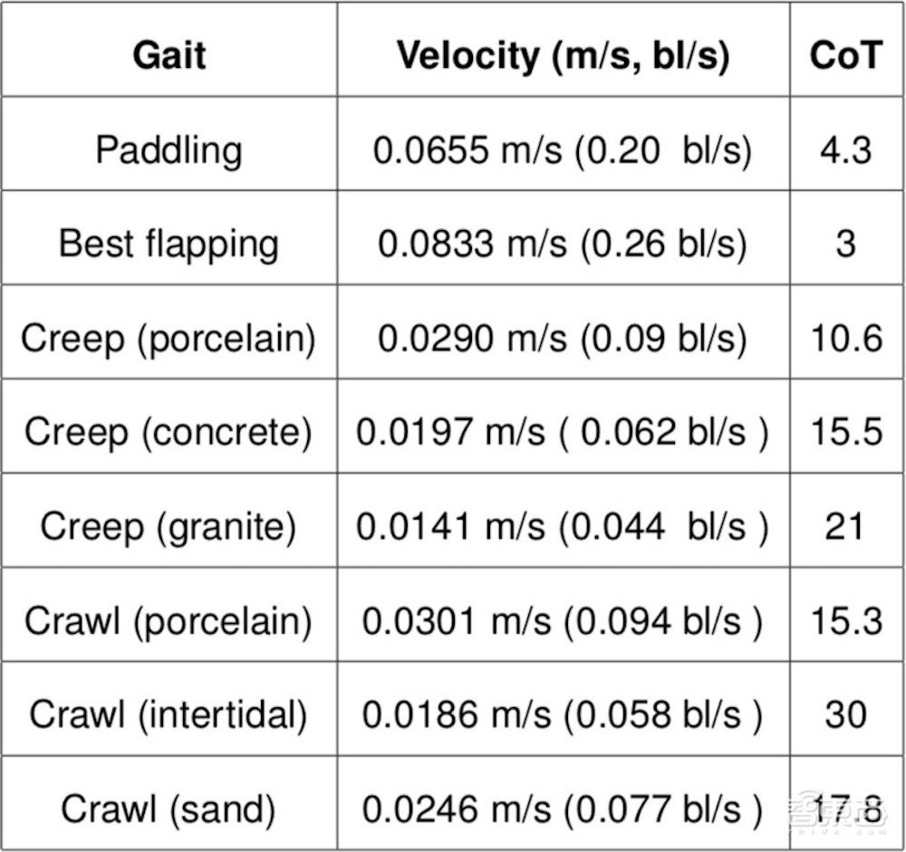 两栖机器龟登上Nature封面!结合海龟、陆龟和机器人的各种优势