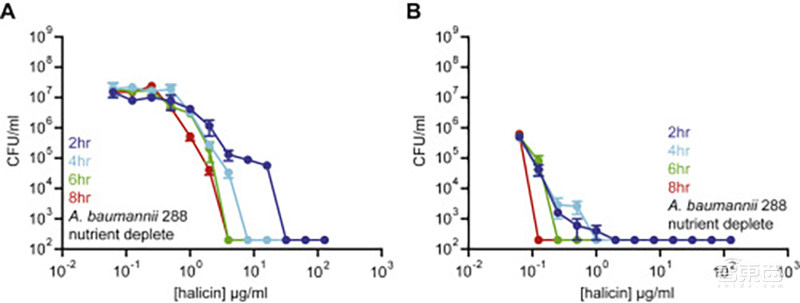 重磅!AI发现超级抗生素,能干掉多种致病细菌,从1.07亿分子筛出