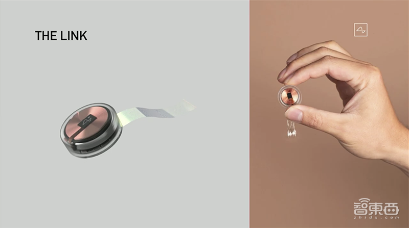 马斯克推脑机接口芯片！1小时安装睡觉时充电，植入活猪现场遛很快人体试验