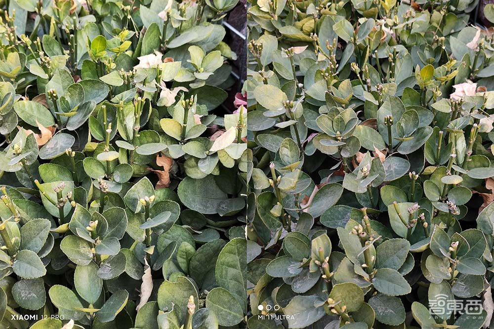 小米12 Pro深度体验:不再“发烧”,做水桶旗舰“守门员”