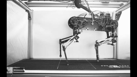 机器狗一小时就能学会走路?模仿动物本能,研究已登Nature子刊