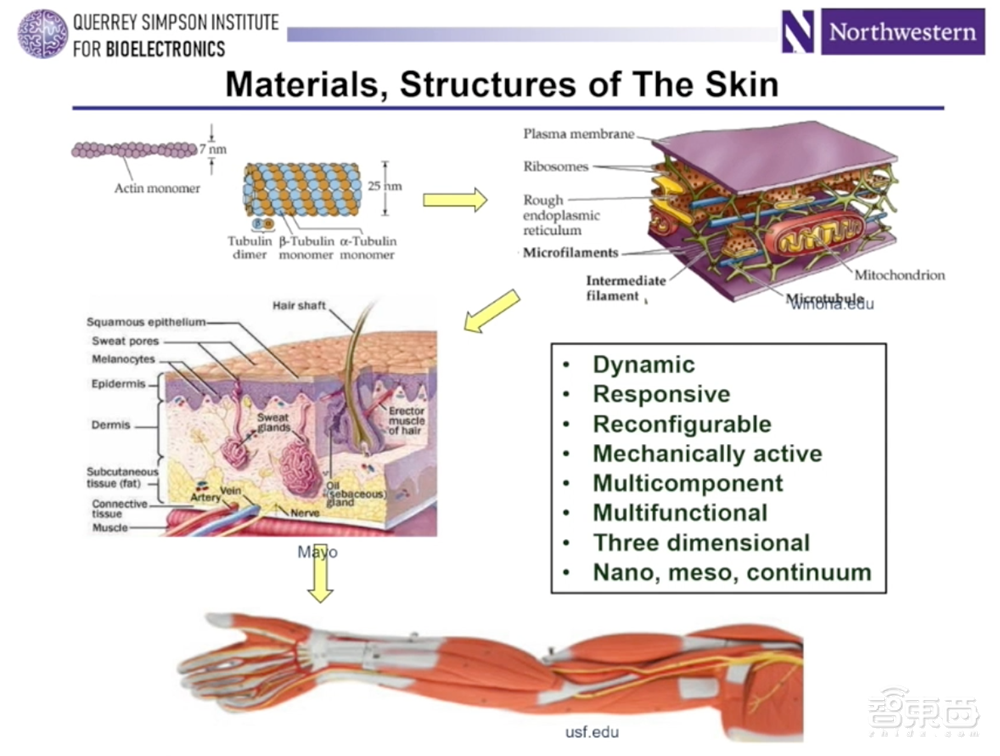 从意念书写到电子皮肤,微型芯片如何打开仿生之门?