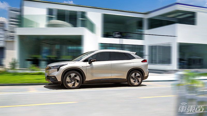 世界上最聪明的“狗”来袭!百万级“代码血统”