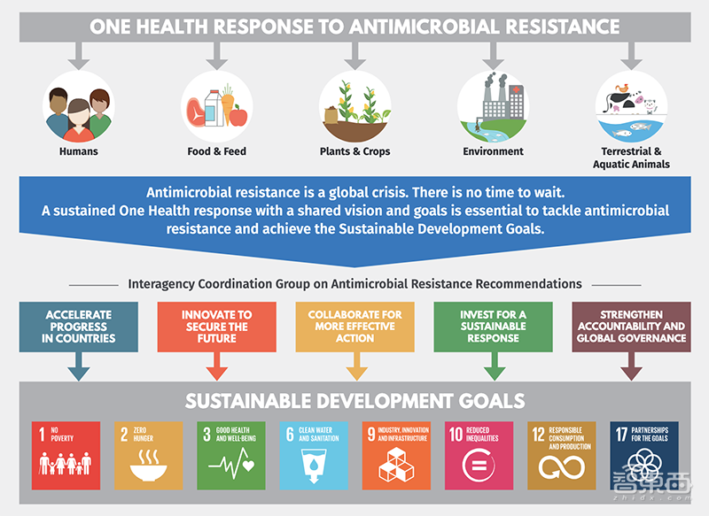 重磅！AI发现超级抗生素，能干掉多种致病细菌，从1.07亿分子筛出