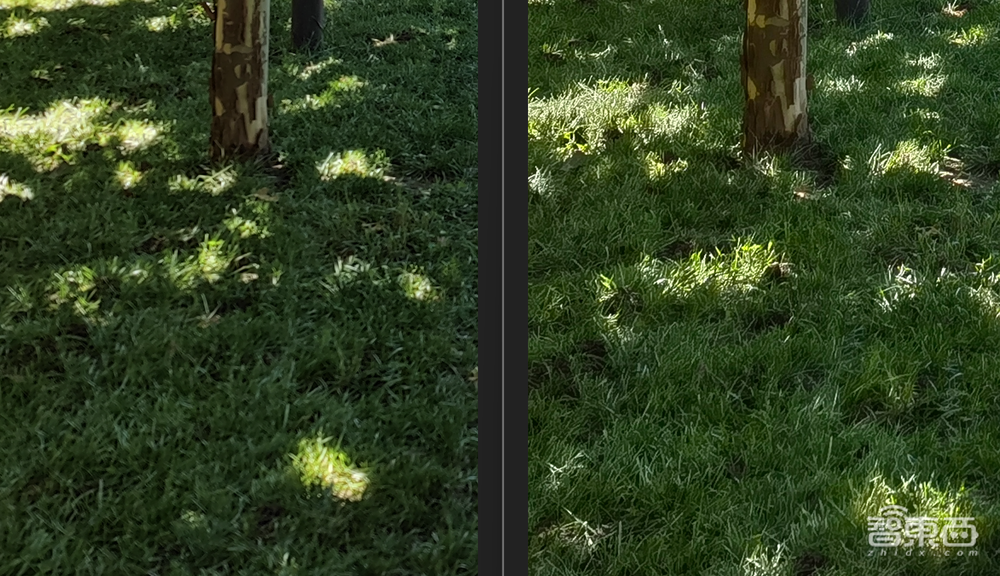 华为P50 Pro深度体验:没了5G,但仍是一部“能打电话的相机”