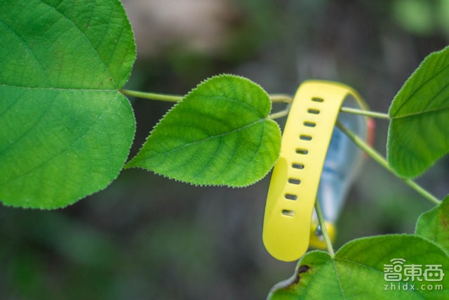 人来人往,勿失勿忘-360儿童卫士2试用