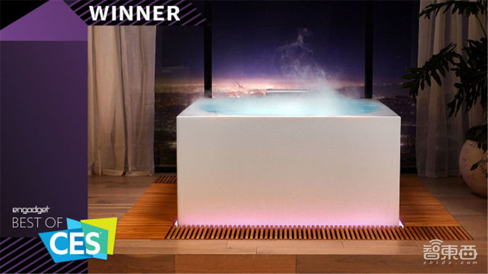 2021 CES“十五最”:聋哑人导航、远程血压计、汽车超屏等入选